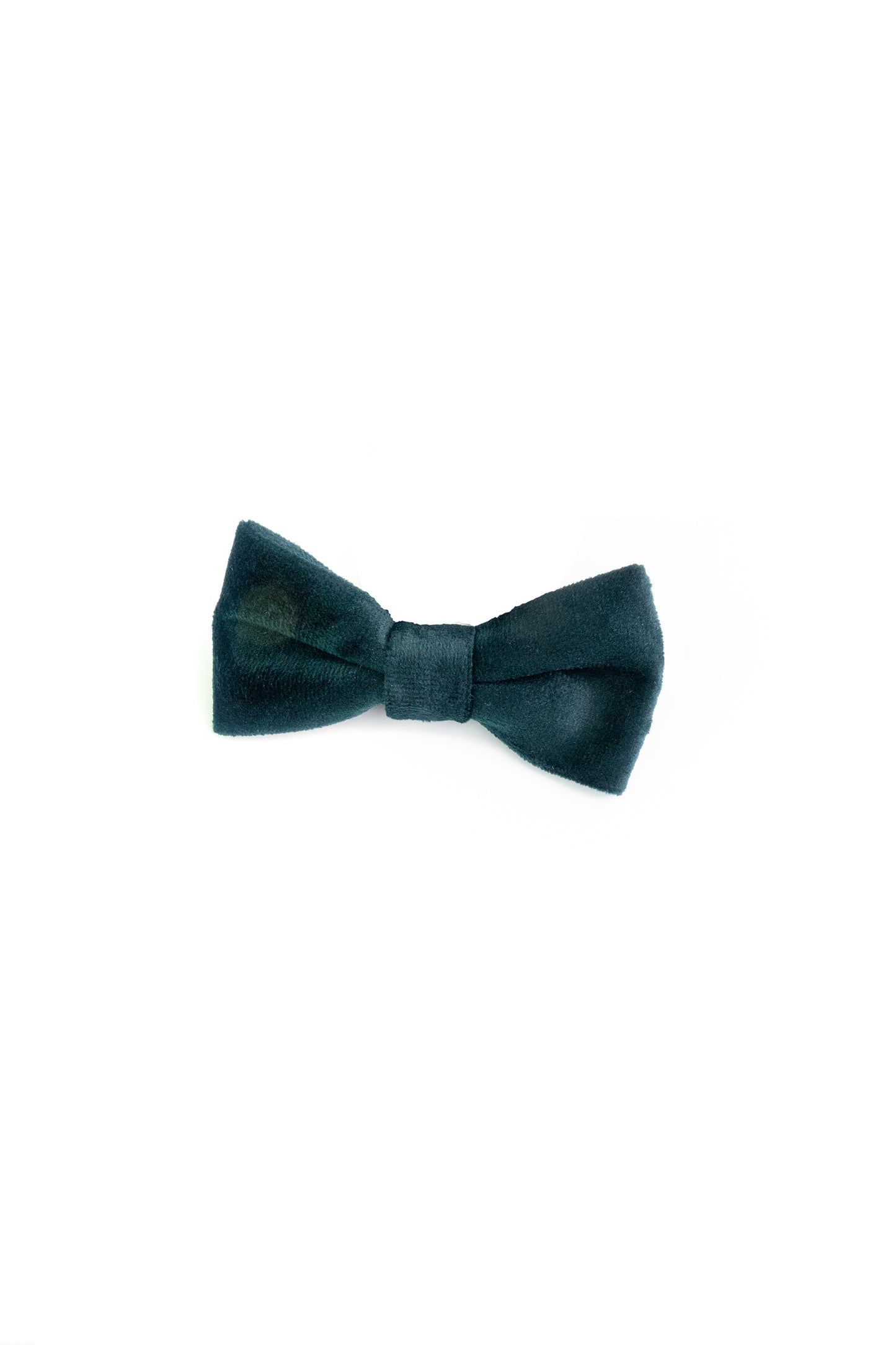 Appaman forest green velvet bow tie