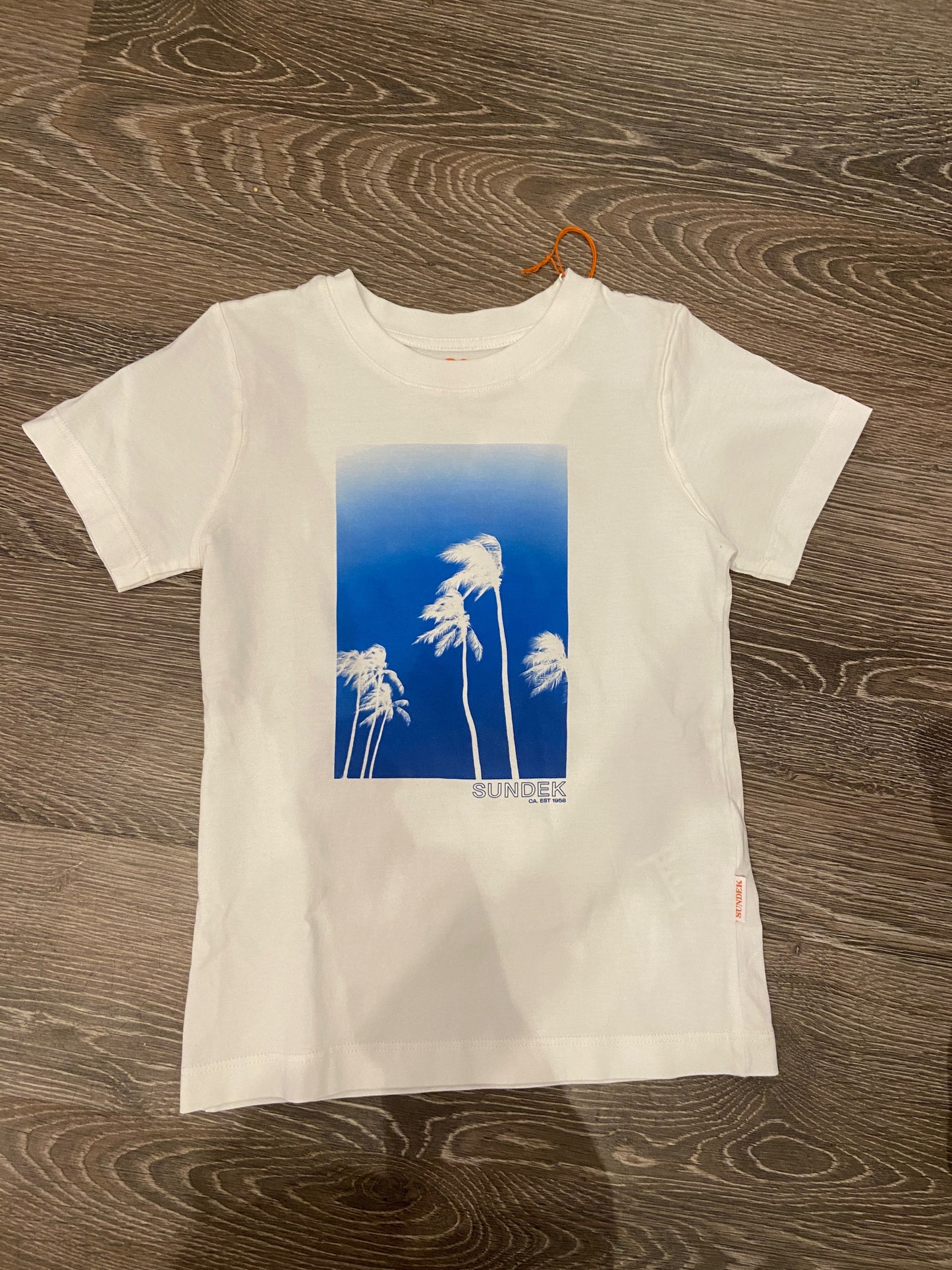 Sundek Boys T-Shirts